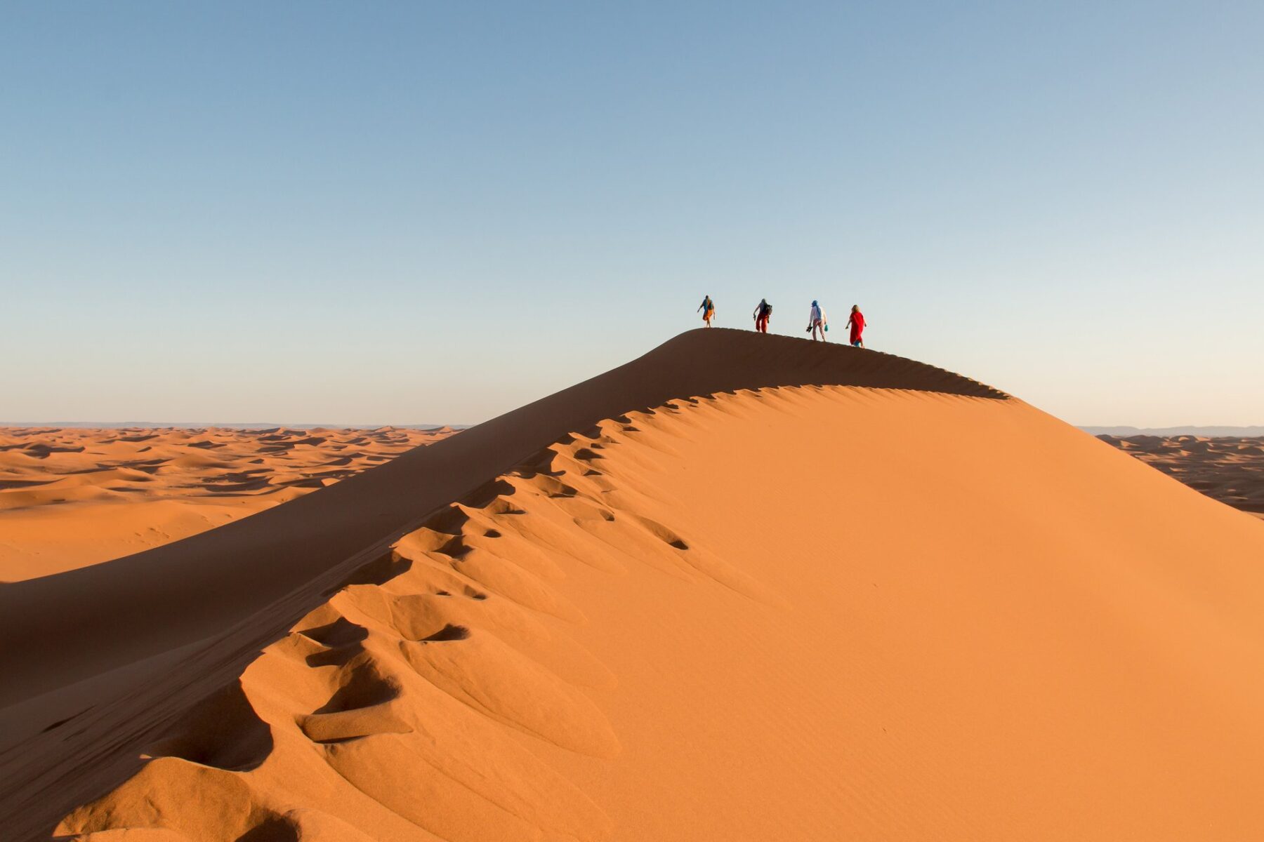 Sahara Karawane buchen