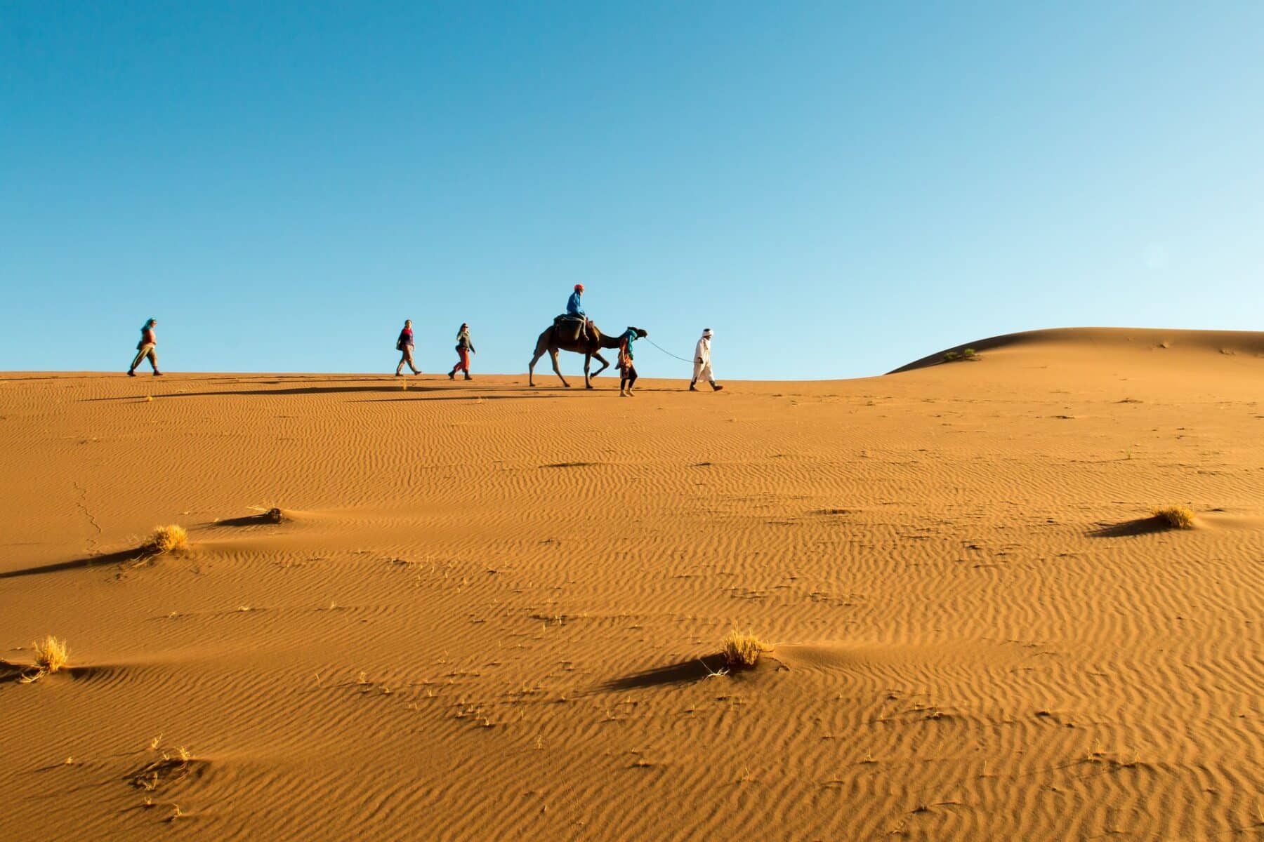 Sahara Karawane 172 FHD