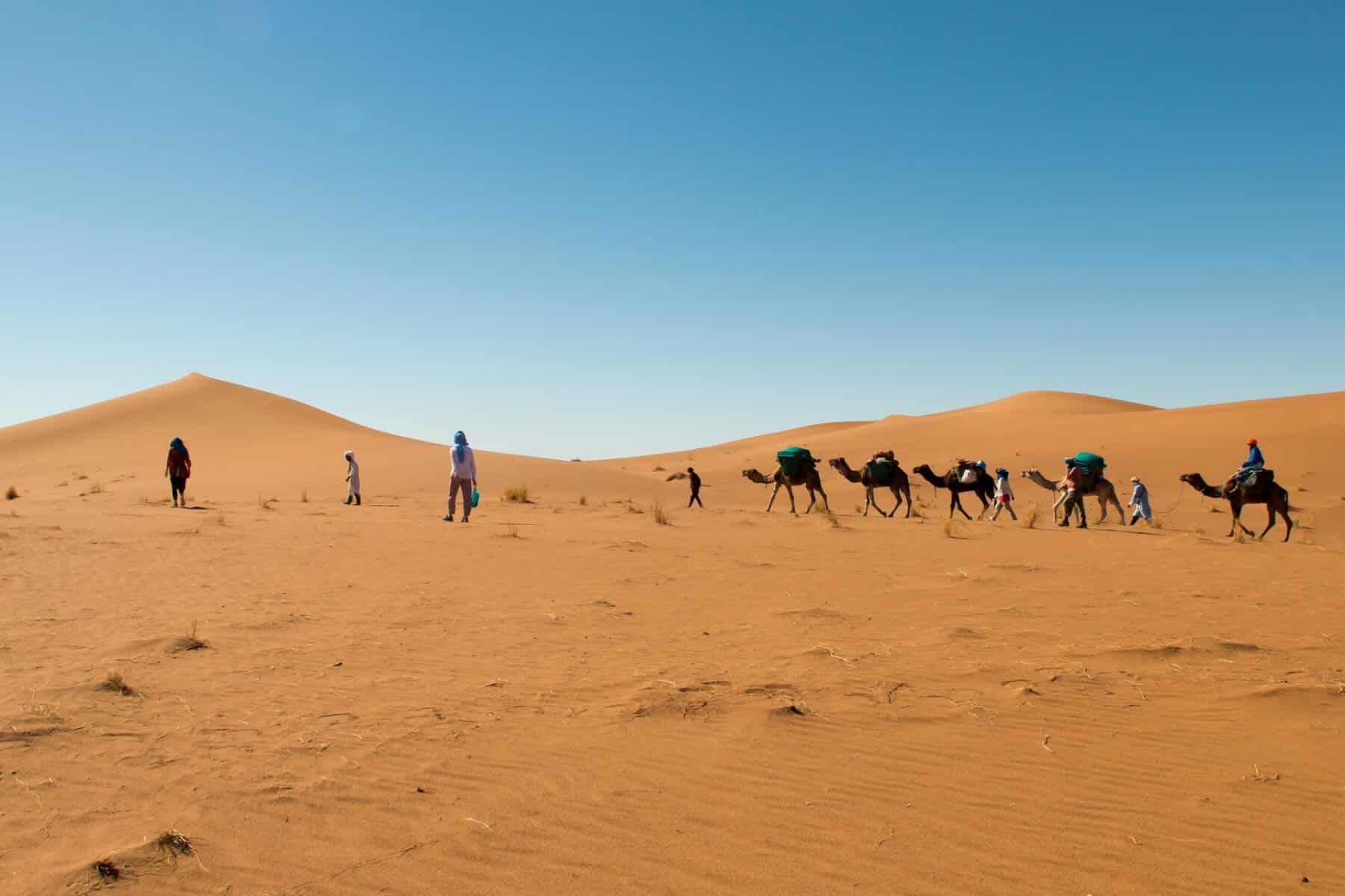 Sahara Karawane 191 FHD