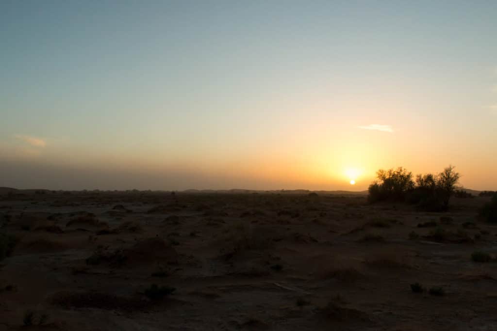 Sahara Karawane 2531